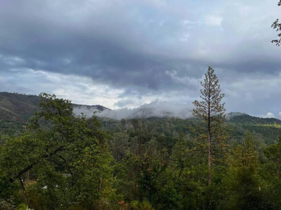 Yosemite'S Scenic Hideaway Villa มิดไพนส์ ภายนอก รูปภาพ