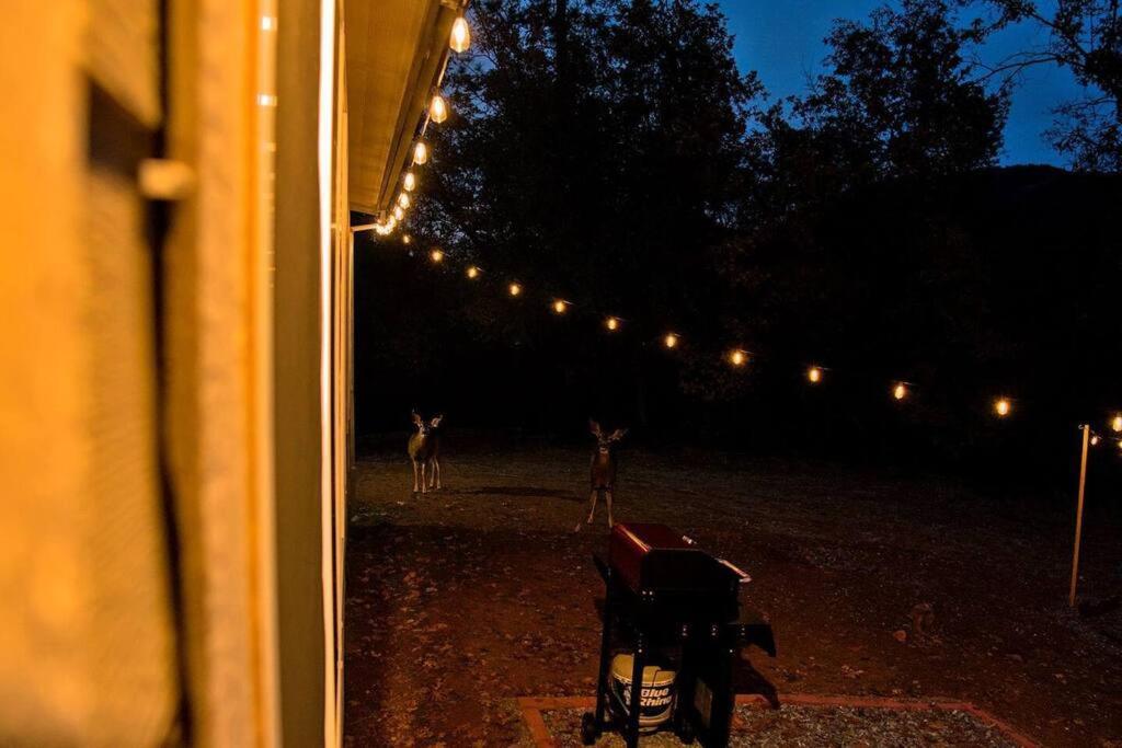 Yosemite'S Scenic Hideaway Villa มิดไพนส์ ภายนอก รูปภาพ